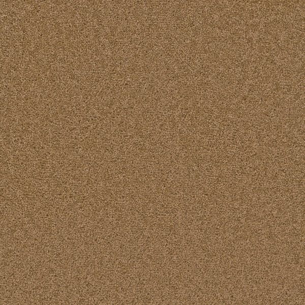Dreamweaver Carpet Cedar Creek Honey Beige DREAMWEAVER