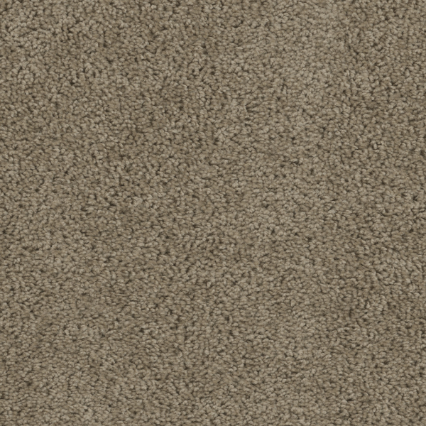 Dreamweaver Carpet Tracker Honey Beige DREAMWEAVER