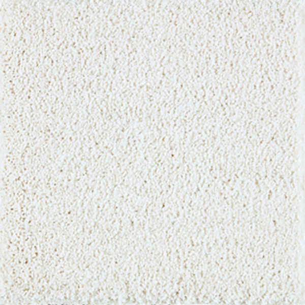 Horizon Carpet Exquisite Beauty Luxury Mohawk