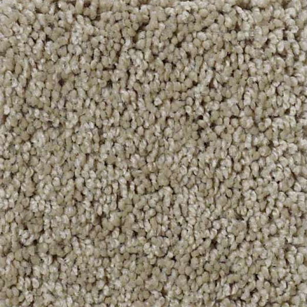 Shaw Floors Origins Gray Flannel SHAW