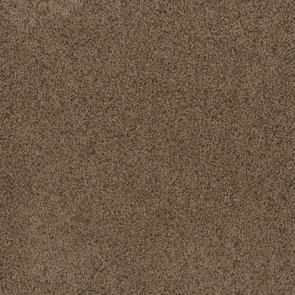 Dreamweaver Carpet Toast Of The Town Sandalwood DREAMWEAVER