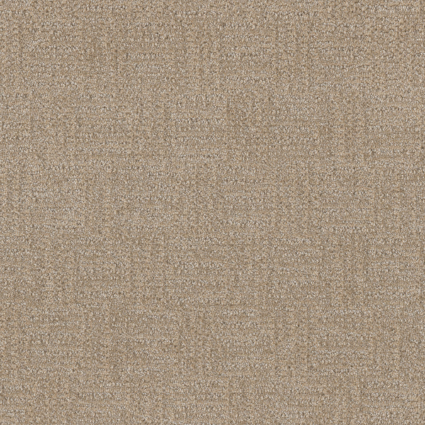 Dreamweaver Carpet Classic Elements Milk and Honey DREAMWEAVER