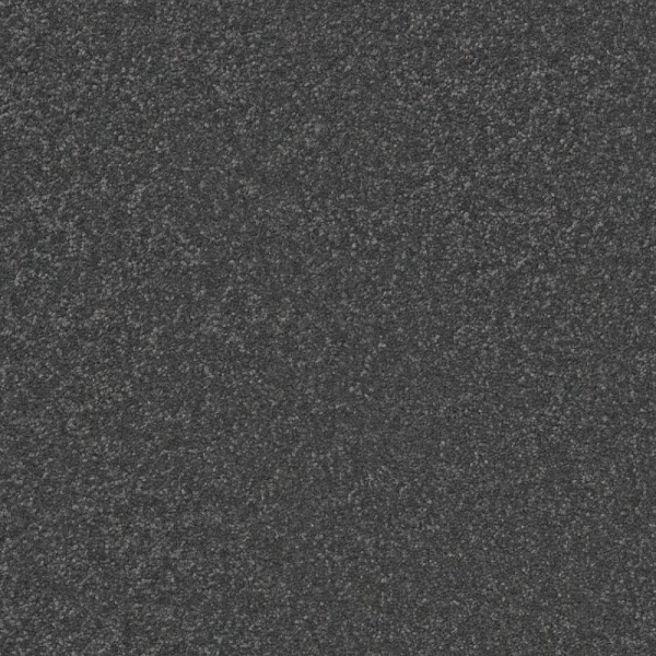 Shaw Floors Awaken Spirit II 15' Darkroom SHAW