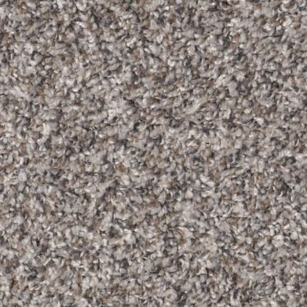 Shaw Floors Soft Effervescence Oxford SHAW