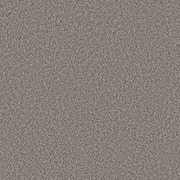 Shaw Floors Soft Radiance Oxford SHAW