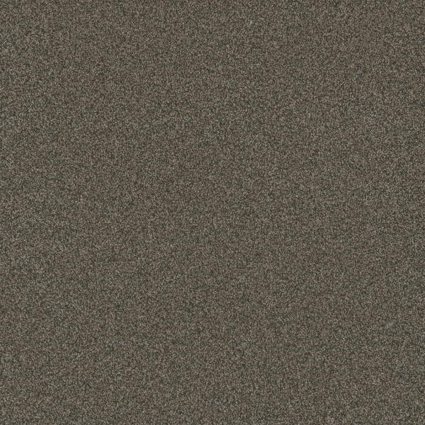 Dreamweaver Carpet Blazer I French Roast DREAMWEAVER