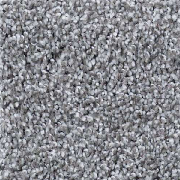 Shaw Floors What's Up Battleship SHAW