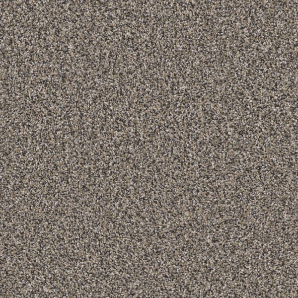 Shaw Floors Affirmation I Granite SHAW