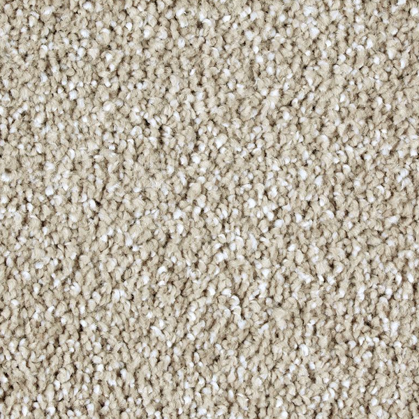 Horizon Carpet Exquisite Shades Tradition Mohawk