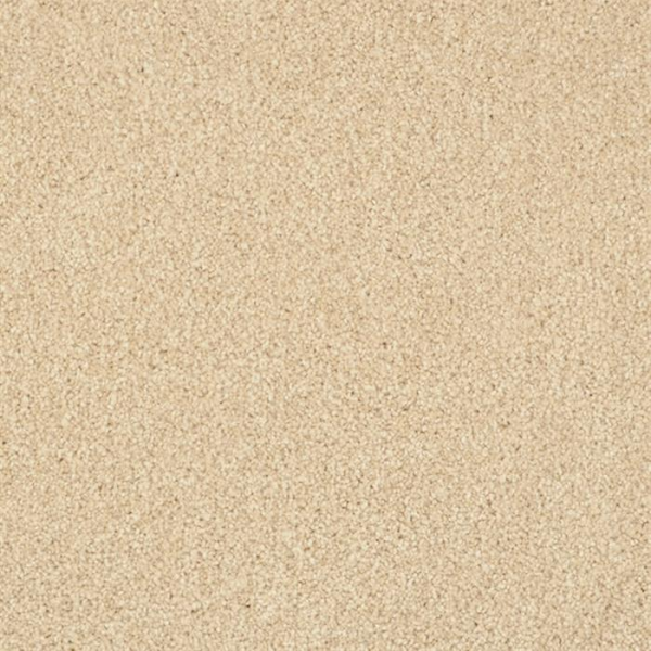 Masland Carpets Miami Pale Almond Masland