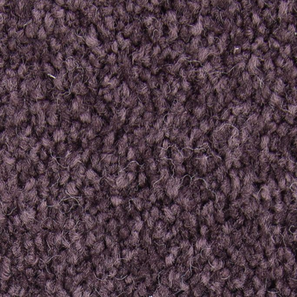 Mohawk Carpet Noteworthy Selection Passion Mohawk