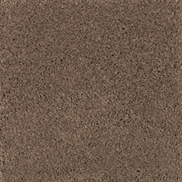 Horizon Carpet Natural Splendor II Rich Earth Mohawk