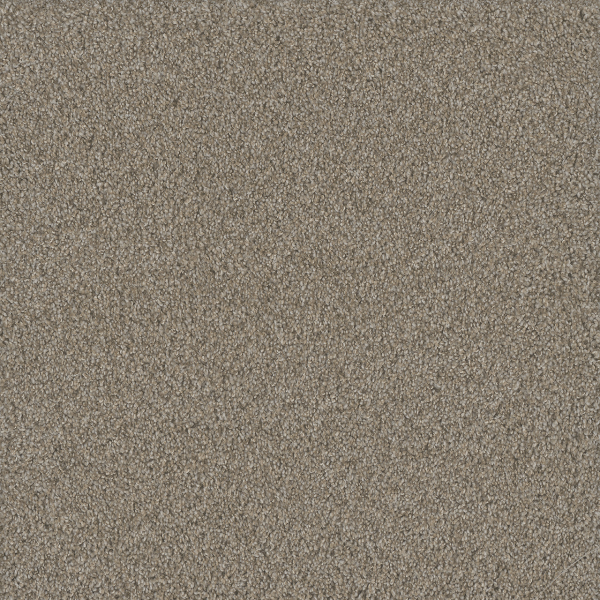 Dreamweaver Carpet No Limits II Ambiance DREAMWEAVER