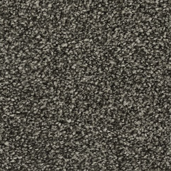 Horizon Carpet Ideal Outlook Espresso Mohawk