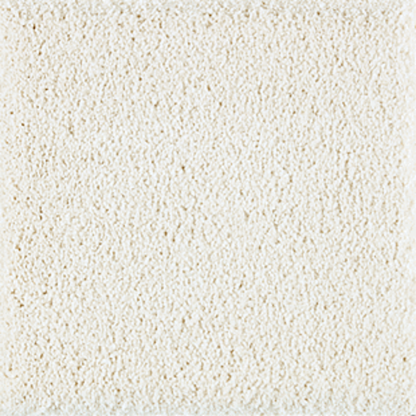 Horizon Carpet Exquisite Attraction High Style Mohawk