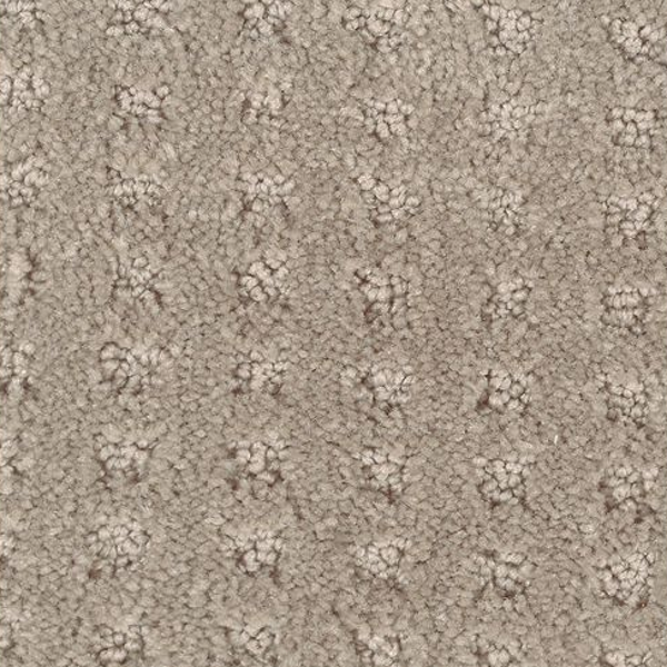 Horizon Carpet Outstanding Artistry Bison Mohawk