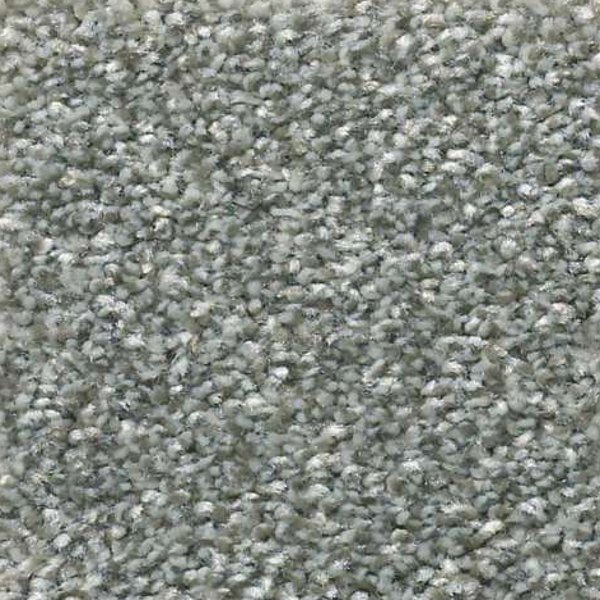 Shaw Floors Attainable Artic Shadow SHAW