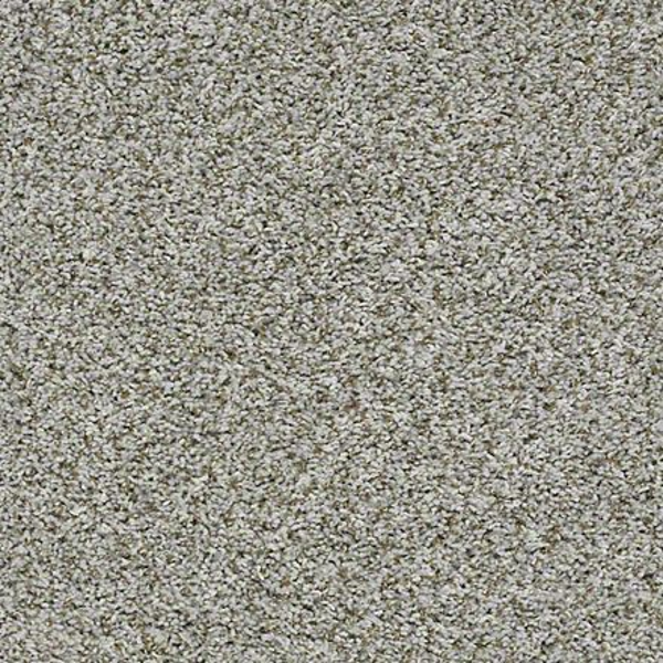 Shaw Floors Break Away (T) Windy CIty SHAW