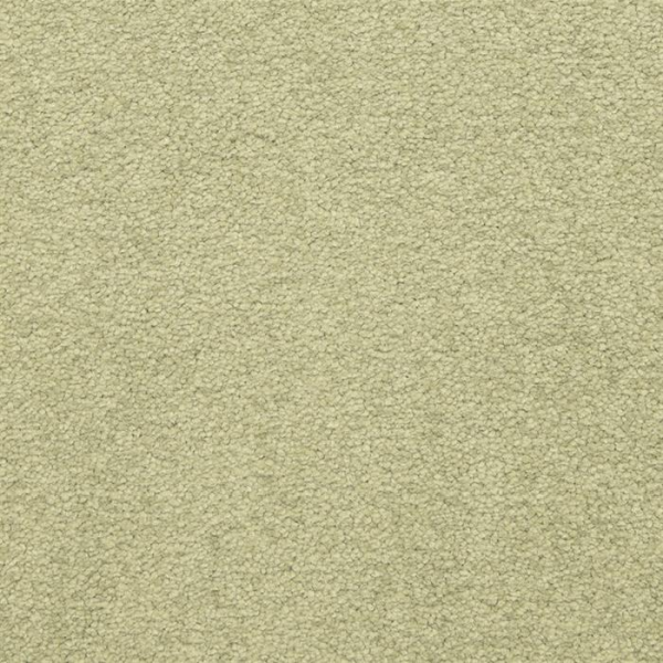 Masland Carpets Patriot Tropical Masland