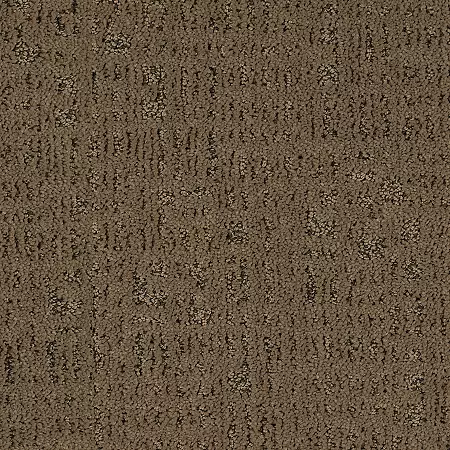 Horizon Carpet Exquisite Portrait Clay Trail Mohawk