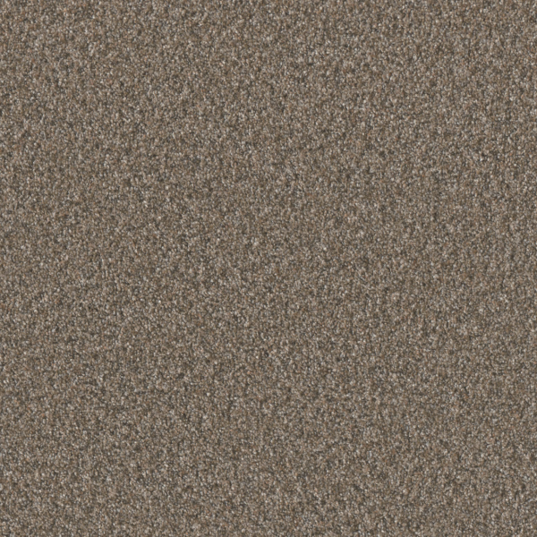 Dreamweaver Carpet Timberline III Lakehouse DREAMWEAVER