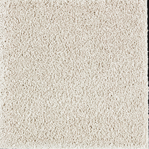 Horizon Carpet Exquisite Beauty Enchanting Mohawk