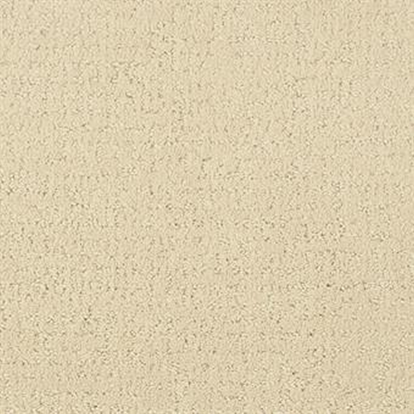 Masland Carpets Matisse Studio Beige Masland