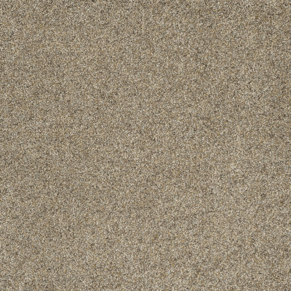 Dreamweaver Carpet Astounding II Amberwood DREAMWEAVER