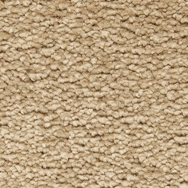 Horizon Carpet Pleasant Touch November Follage Mohawk