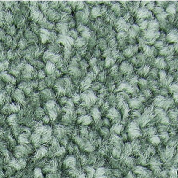 Horizon Carpet Exceptional Choice Aloe Mohawk