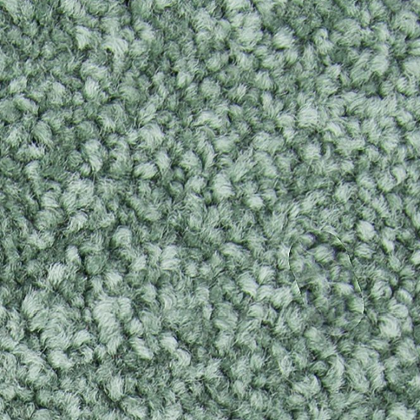 Mohawk Carpet Noteworthy Selection Aloe Mohawk