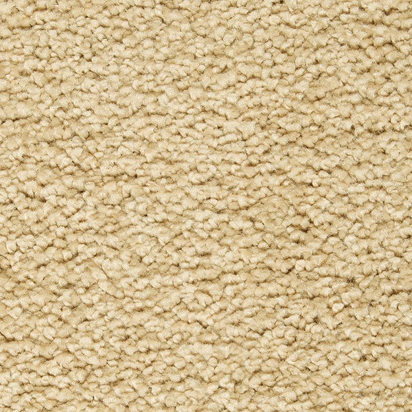 Horizon Carpet Gentle Approach Crewelwork Mohawk