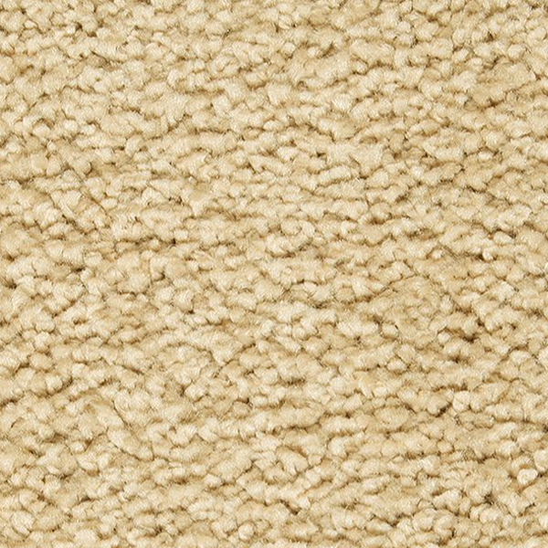 Horizon Carpet Pleasant Touch Crewelwork Mohawk