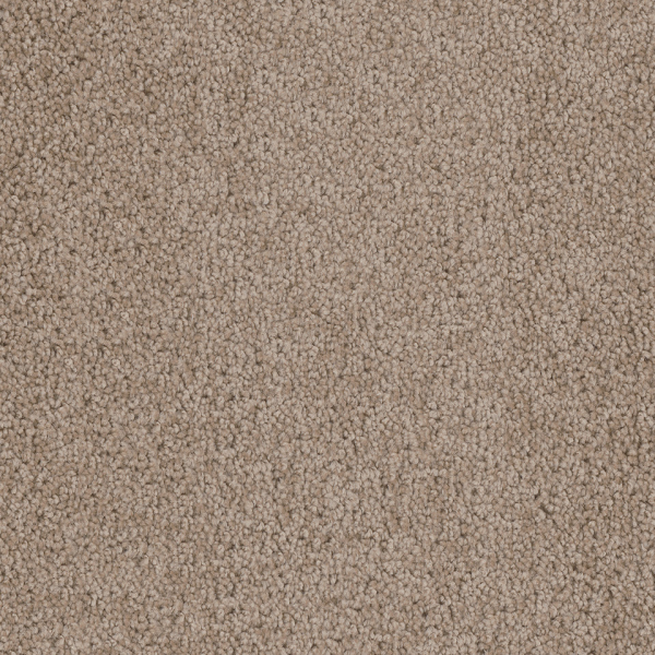Dreamweaver Carpet Cedar Creek Doeskin DREAMWEAVER