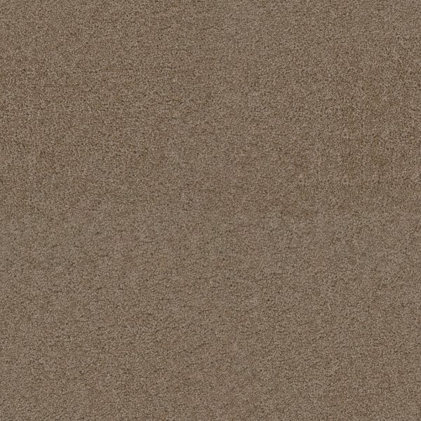 Dreamweaver Carpet Exceptional II Doeskin DREAMWEAVER