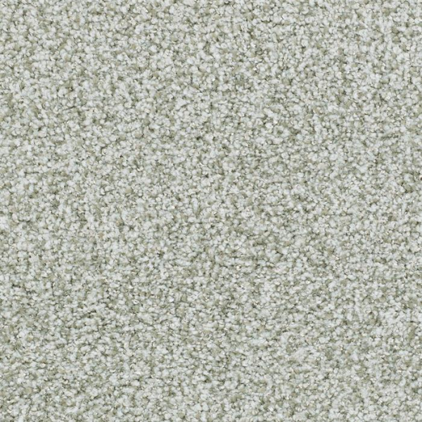 Masland Carpets St Augustine Steady Green Masland