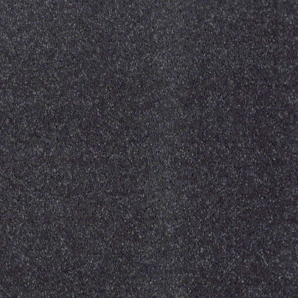 Shaw Floors Newbern Classic 12 Steel Beam SHAW