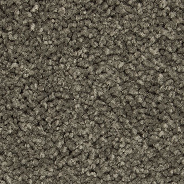 Horizon Carpet Pleasant Touch Legendary Mohawk