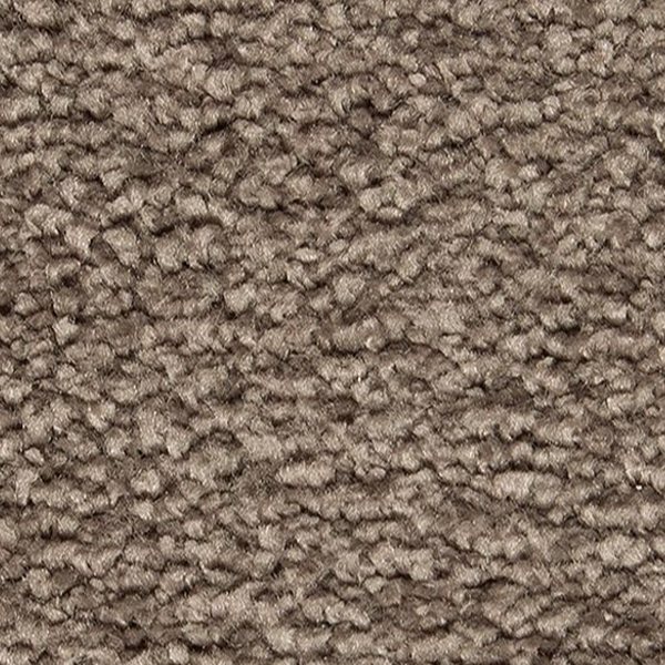 Horizon Carpet Pleasant Touch Steeplechase Mohawk