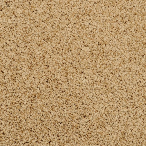 Masland Carpets Shangri-La Conway Masland