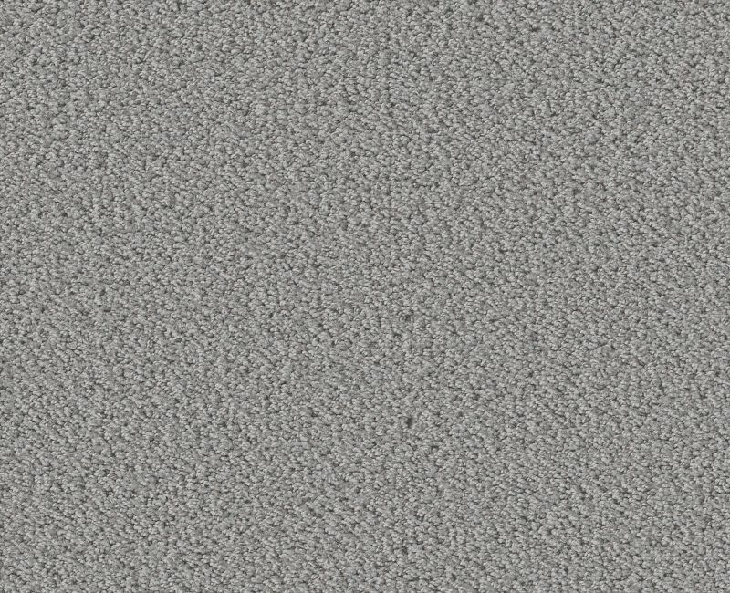 Shaw Floors Fine Tapestry Sentimental SHAW