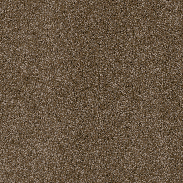 Dreamweaver Carpet Cedar Creek Black Walnut DREAMWEAVER