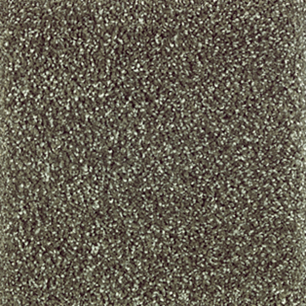 Horizon Carpet Natural Refinement II Pine Needle Mohawk