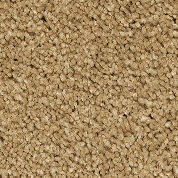 Horizon Carpet Pleasant Touch Stonington Biege Mohawk
