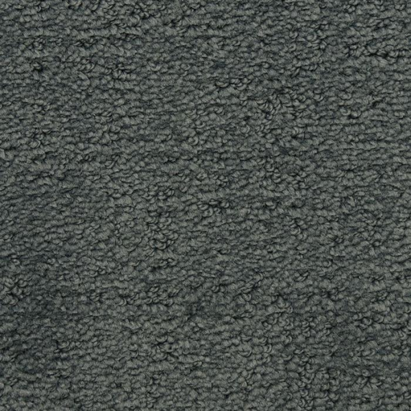 Masland Carpets Santa Barbara Sycamore Masland