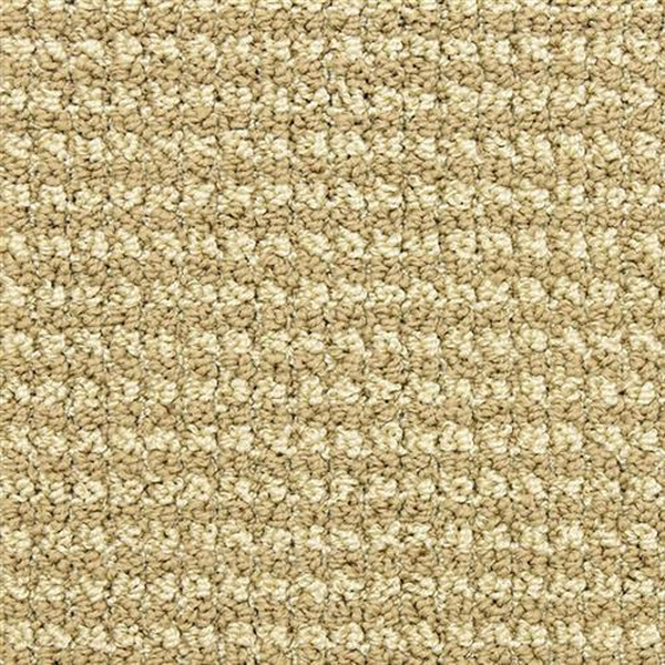 Masland Carpets Tango Chasse Masland