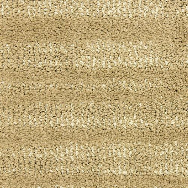 Masland Carpets Jive Chasse Masland