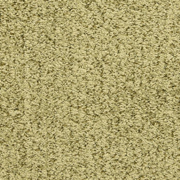 Masland Carpets Sea Grass Palm Tree Masland
