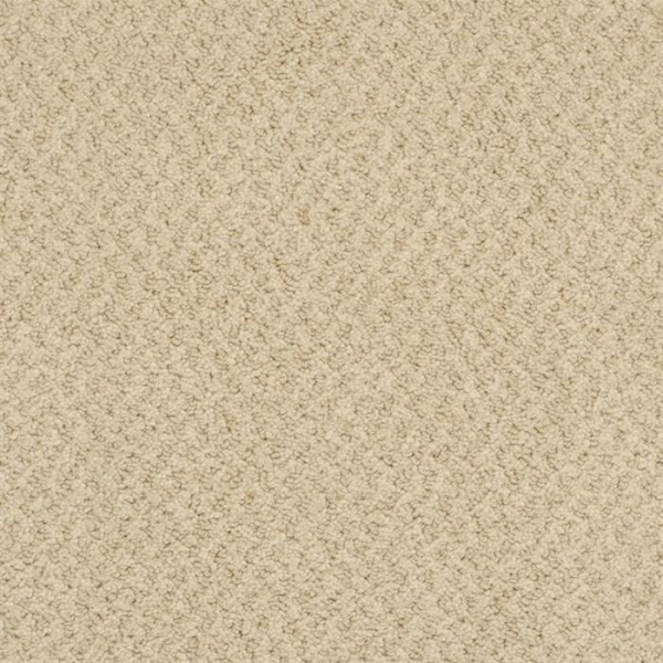 Masland Carpets New Hope Cappuccino Masland