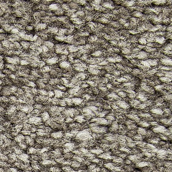 Horizon Carpet Exceptional Choice Heatherstone Mohawk